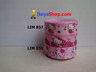 Pita LIM 857 859  large2